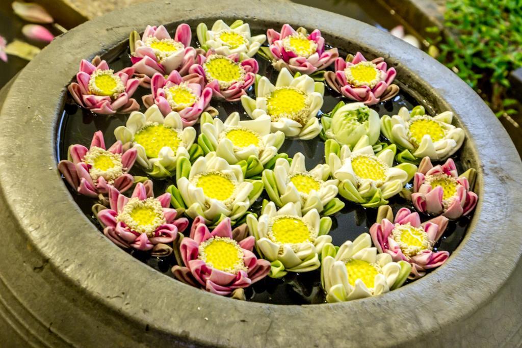 Ravel Boutique Hotel Siem Reap Buitenkant foto
